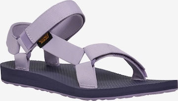 TEVA - Sandália 'Original Universal' em roxo: frente