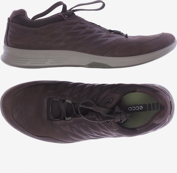 ECCO Sneaker 41 in Braun: predná strana