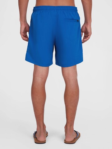 Pantaloncini da bagno 'Vert 16' di O'NEILL in blu