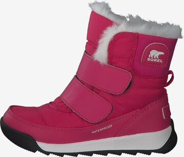 SOREL Snow Boots 'Whitney II 1920331' in Pink