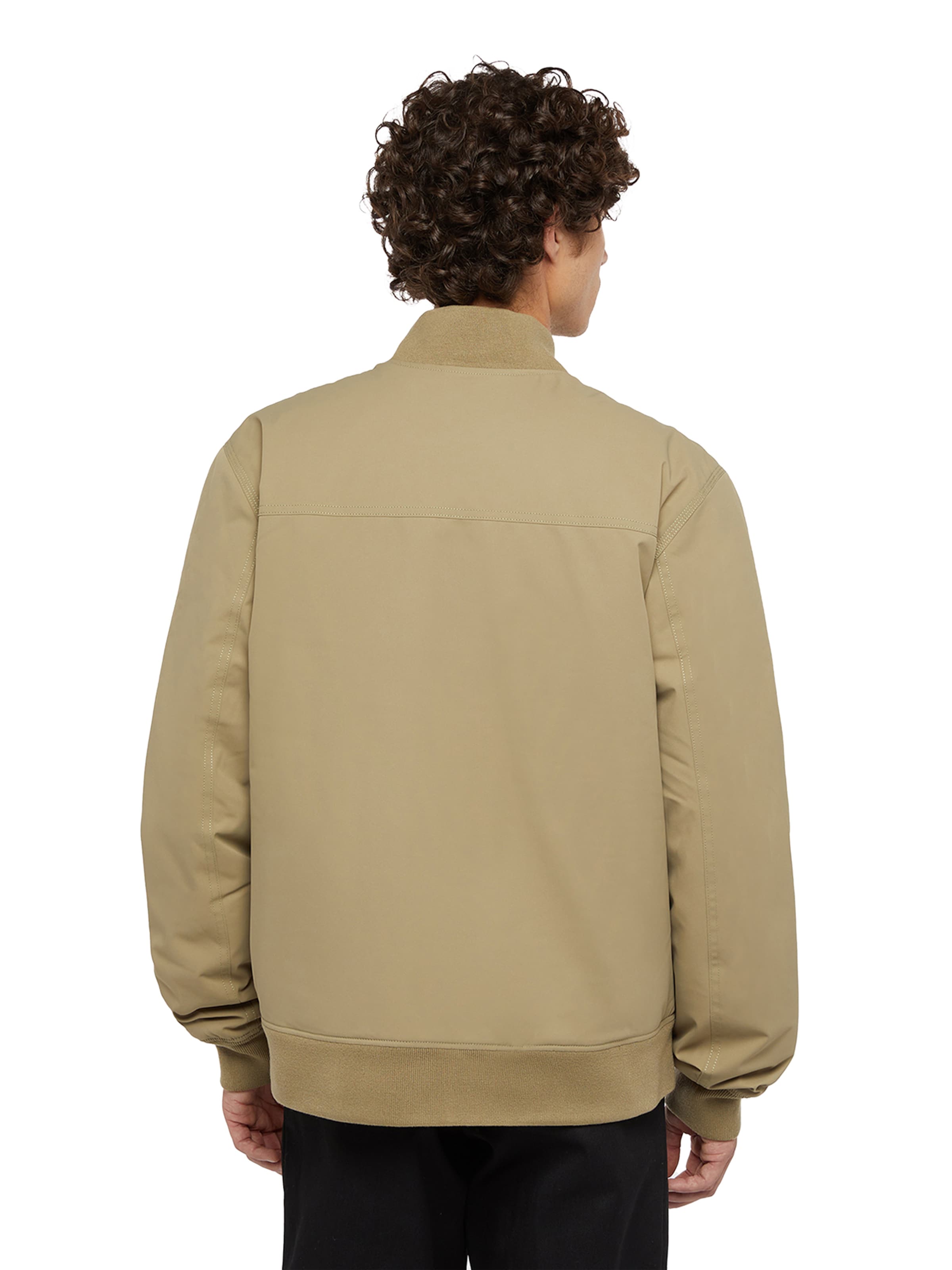 DICKIES Kurtka przejściowa w kolorze zielony