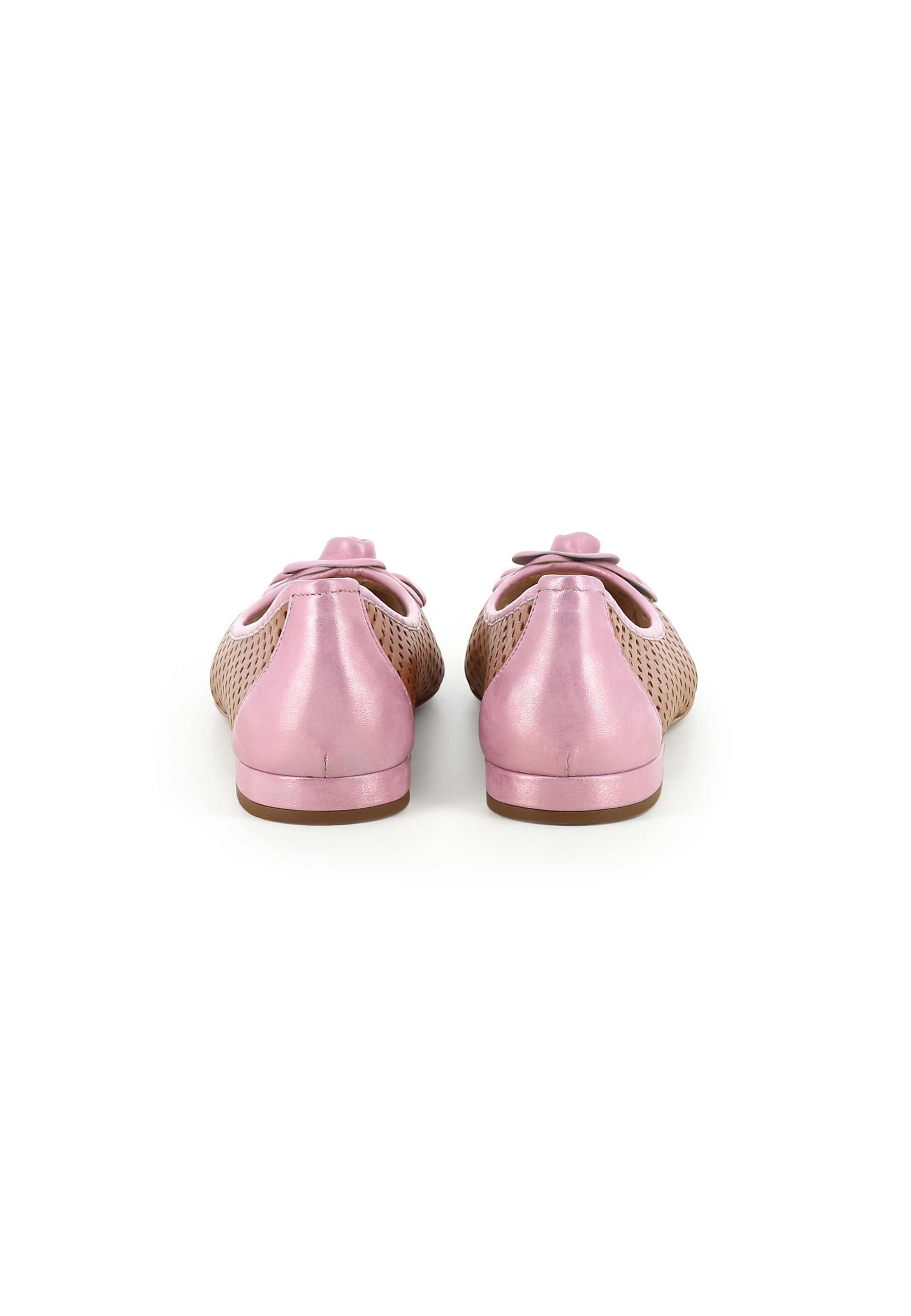 EVITA Instappers 'SONIA' in Bruin