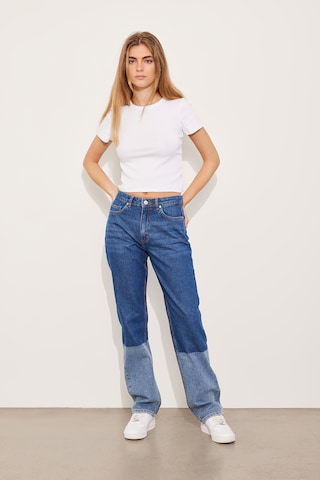 Envii Regular Jeans 'Bree' in Blau