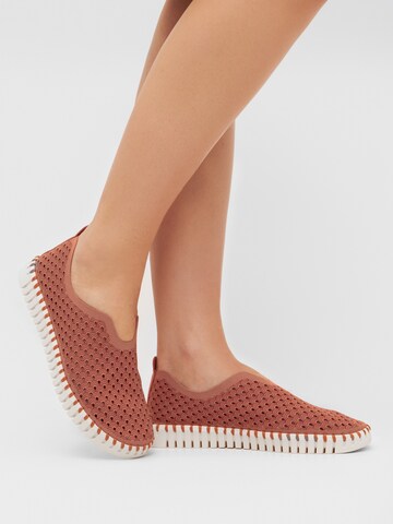 Slip on 'Tulip' ILSE JACOBSEN en marron : devant