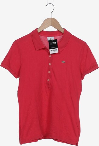LACOSTE Poloshirt XL in Pink: predná strana