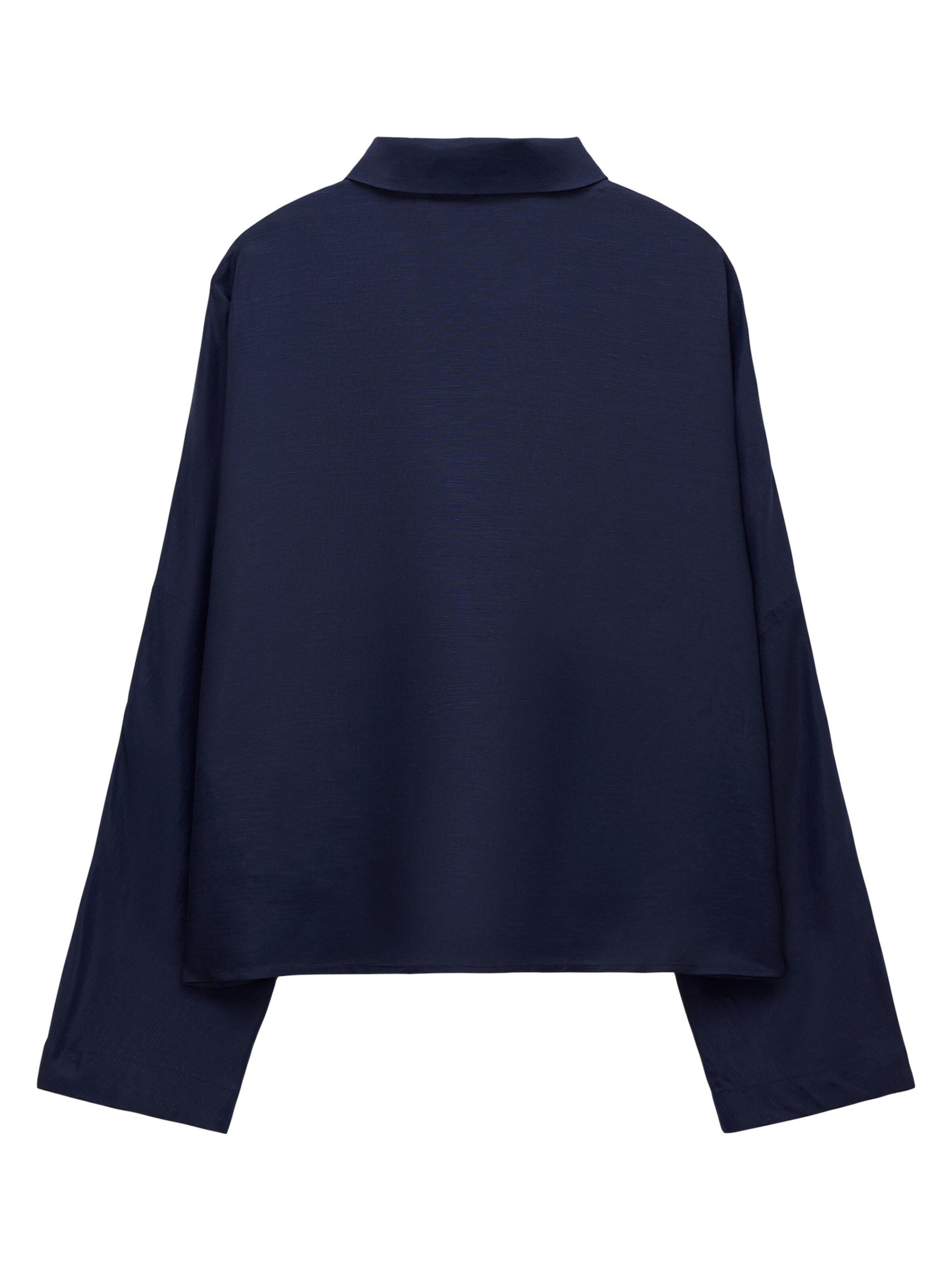 Adolfo Dominguez Shirt in Blue