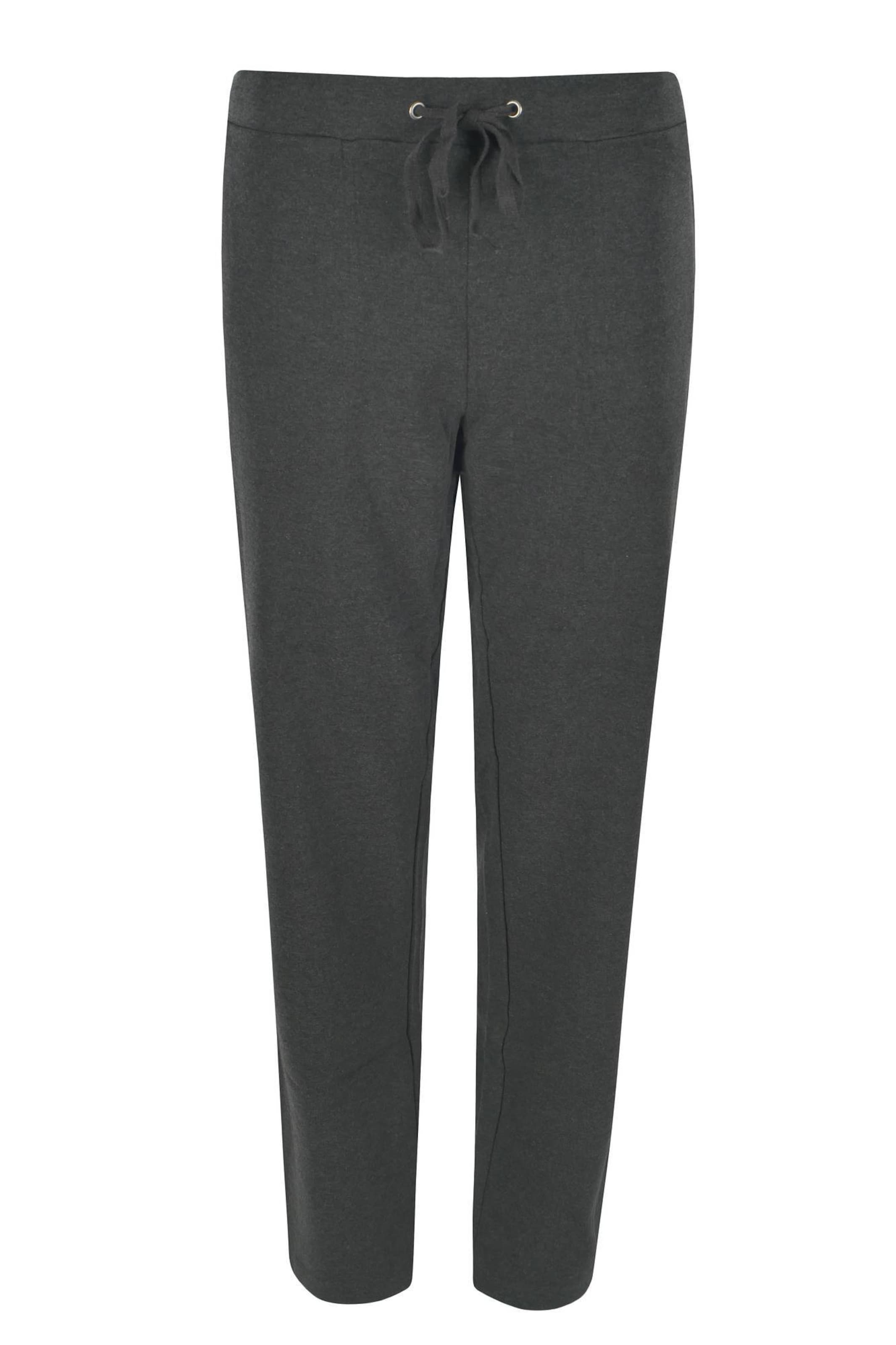HAJO Trousers in Grey: front