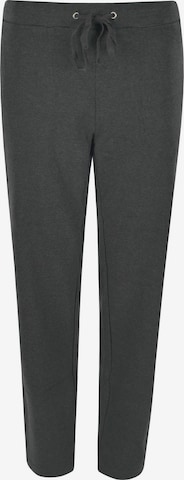 Pantalon HAJO en gris : devant