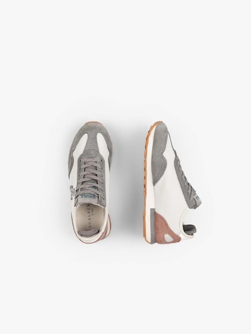 Scalpers Sneakers 'Prax' i grå