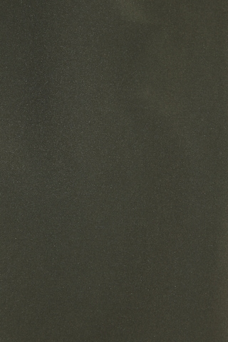 s.Oliver Badeshorts in Grün