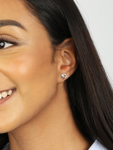 Lucardi Oorbellen in Zilver: voorkant