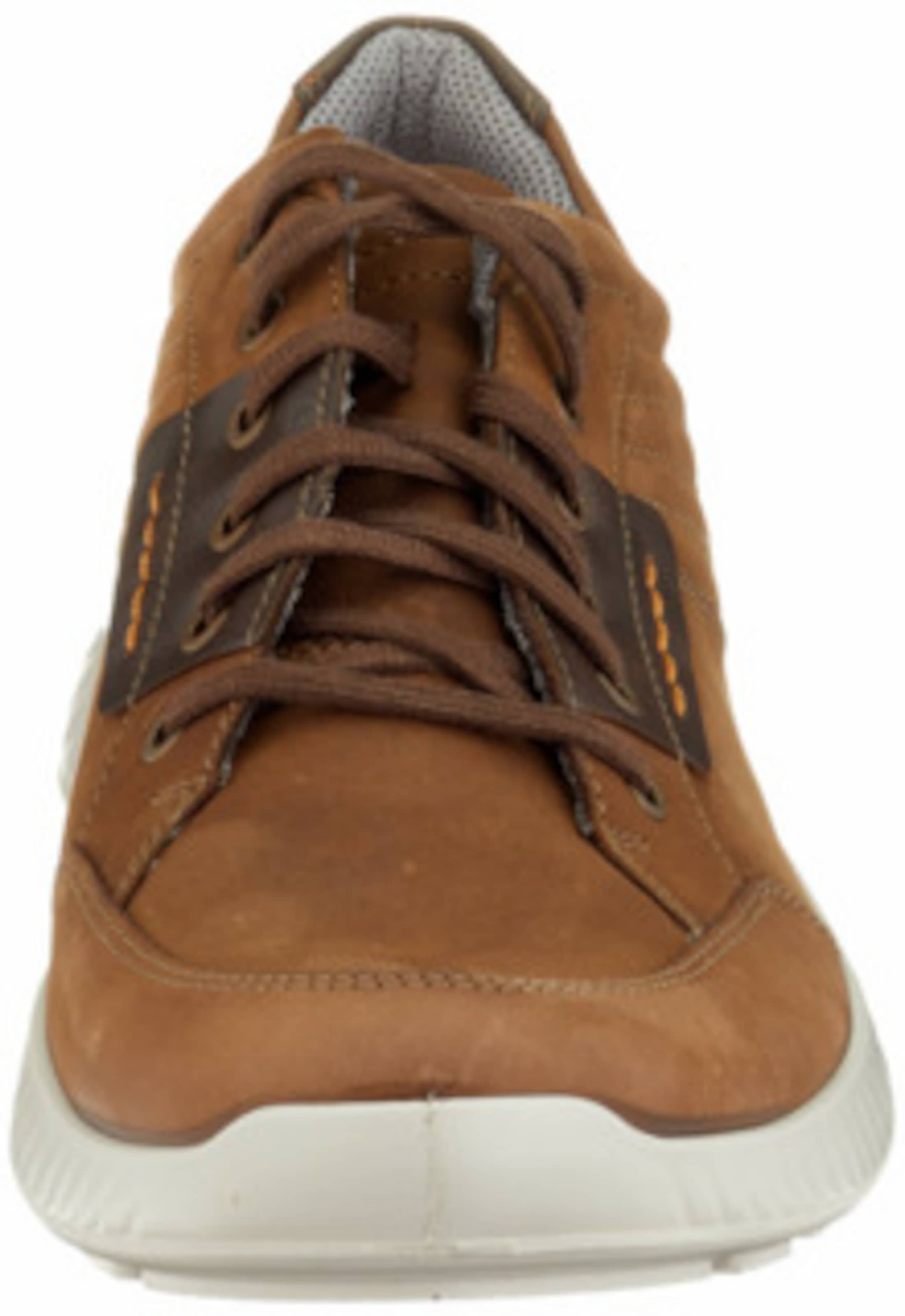 JOMOS Lace-up shoe in Brown