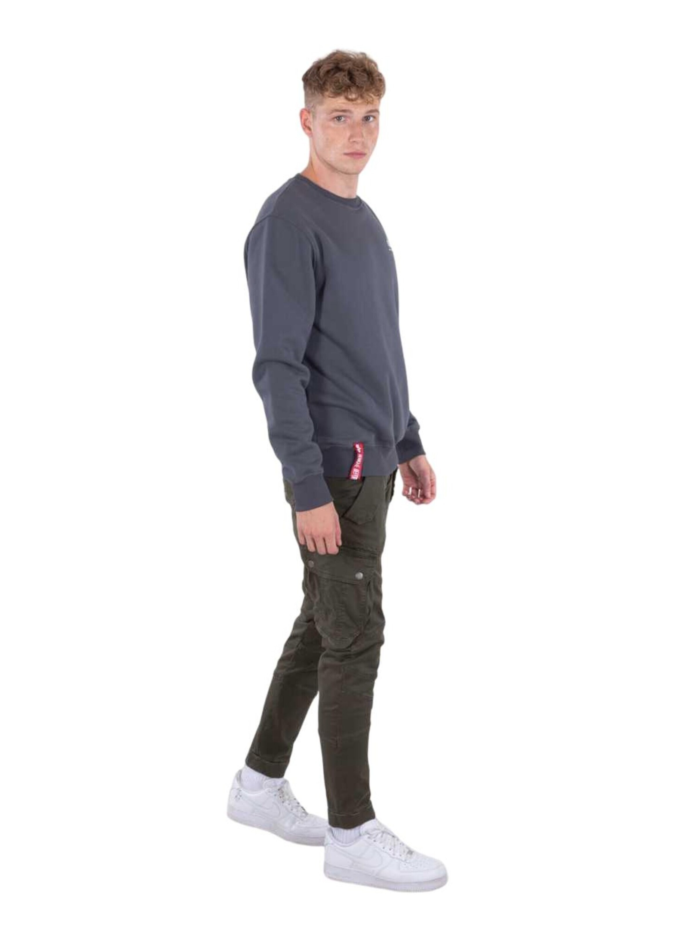 ALPHA INDUSTRIES Sweatshirt 'Basic Small Logo'‌‌ in Grau
