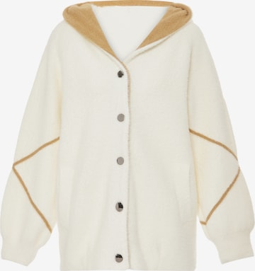 Poomi Knit Cardigan in Beige: front