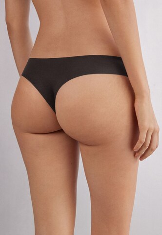 INTIMISSIMI Thong in Brown
