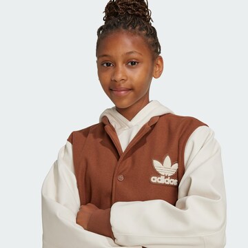Veste mi-saison ADIDAS ORIGINALS en marron