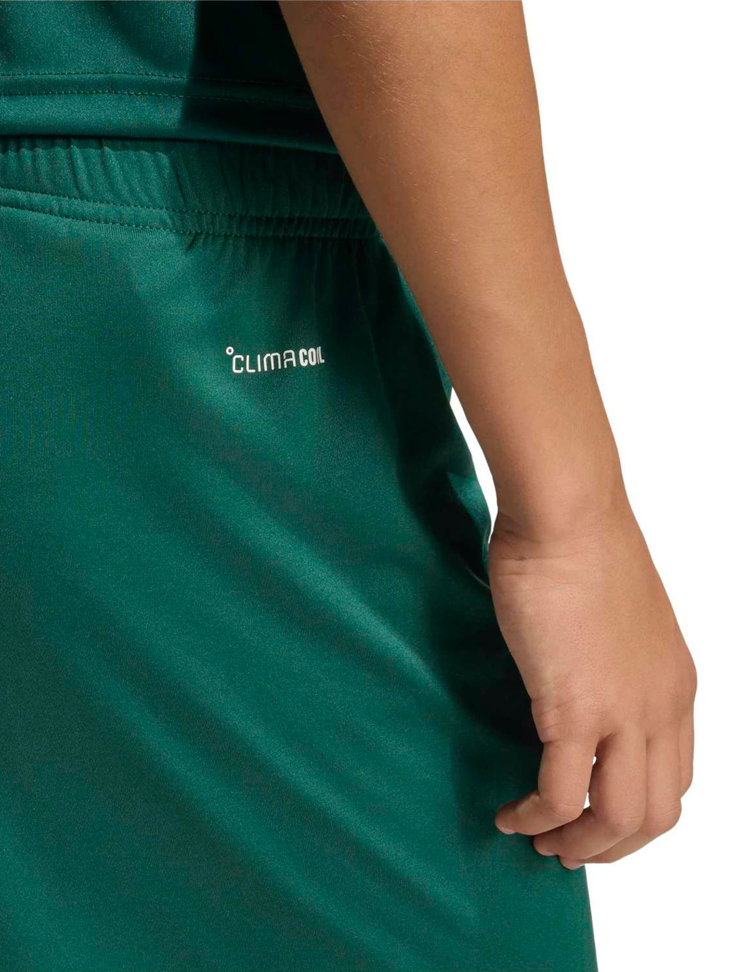 Regular Pantalon de sport 'ENT26' ADIDAS PERFORMANCE en vert