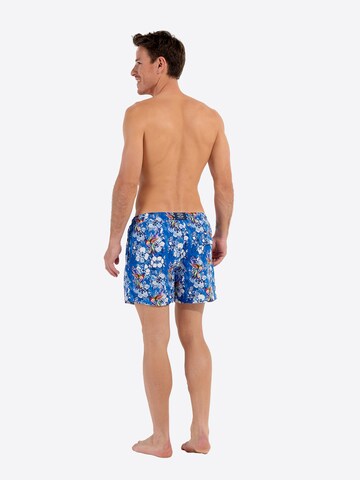 Shorts de bain ' Beach Boxer Colibris ' HOM en bleu