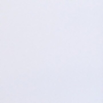 Carlo Colucci Pet 'Colorio' in Wit