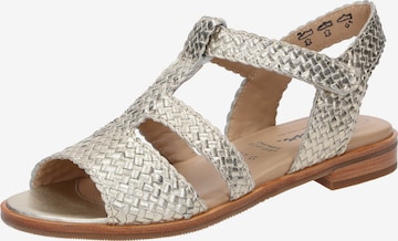 Sandales 'Cosinda-702' SIOUX en or : devant