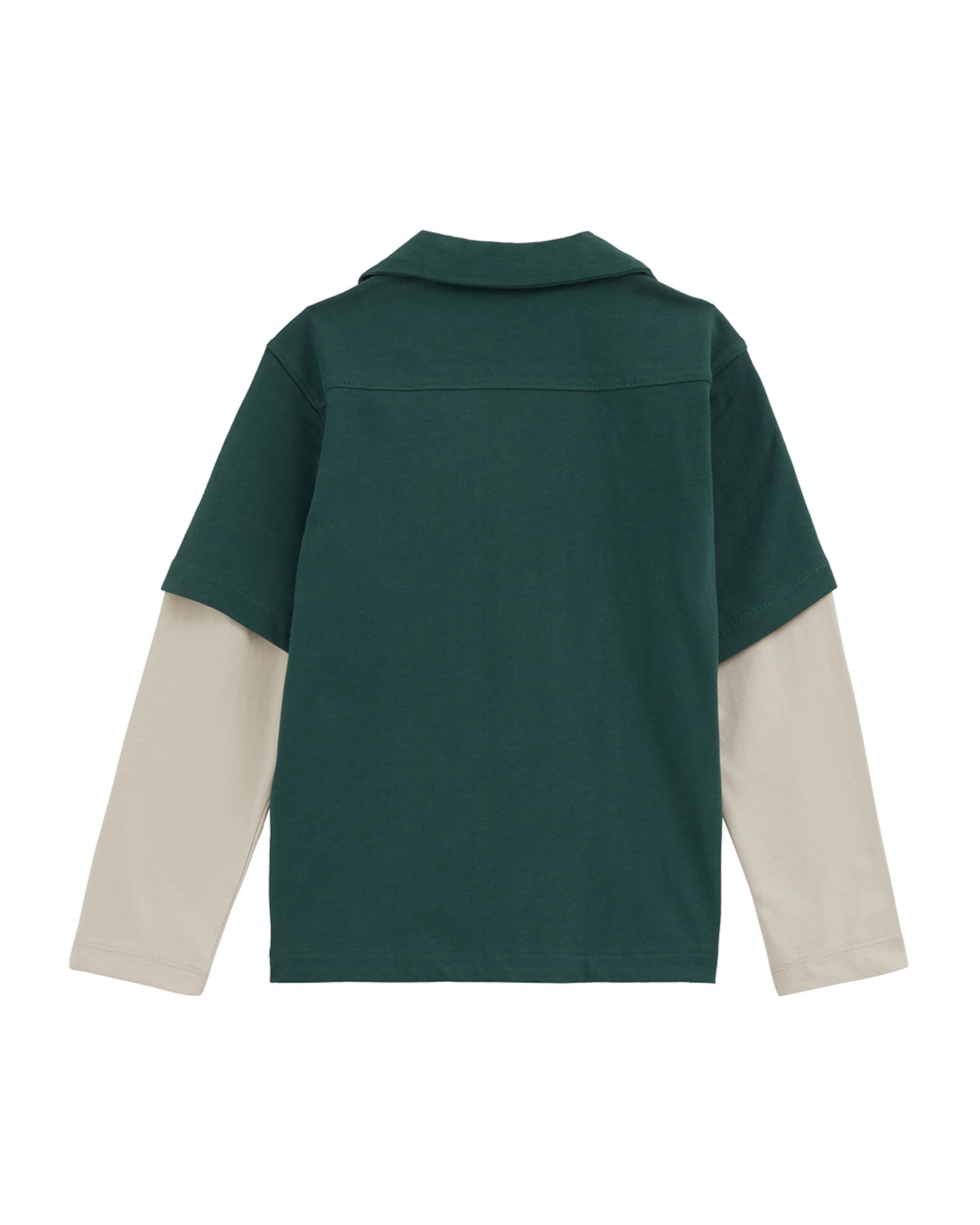 Coupe regular Chemise WE Fashion en vert