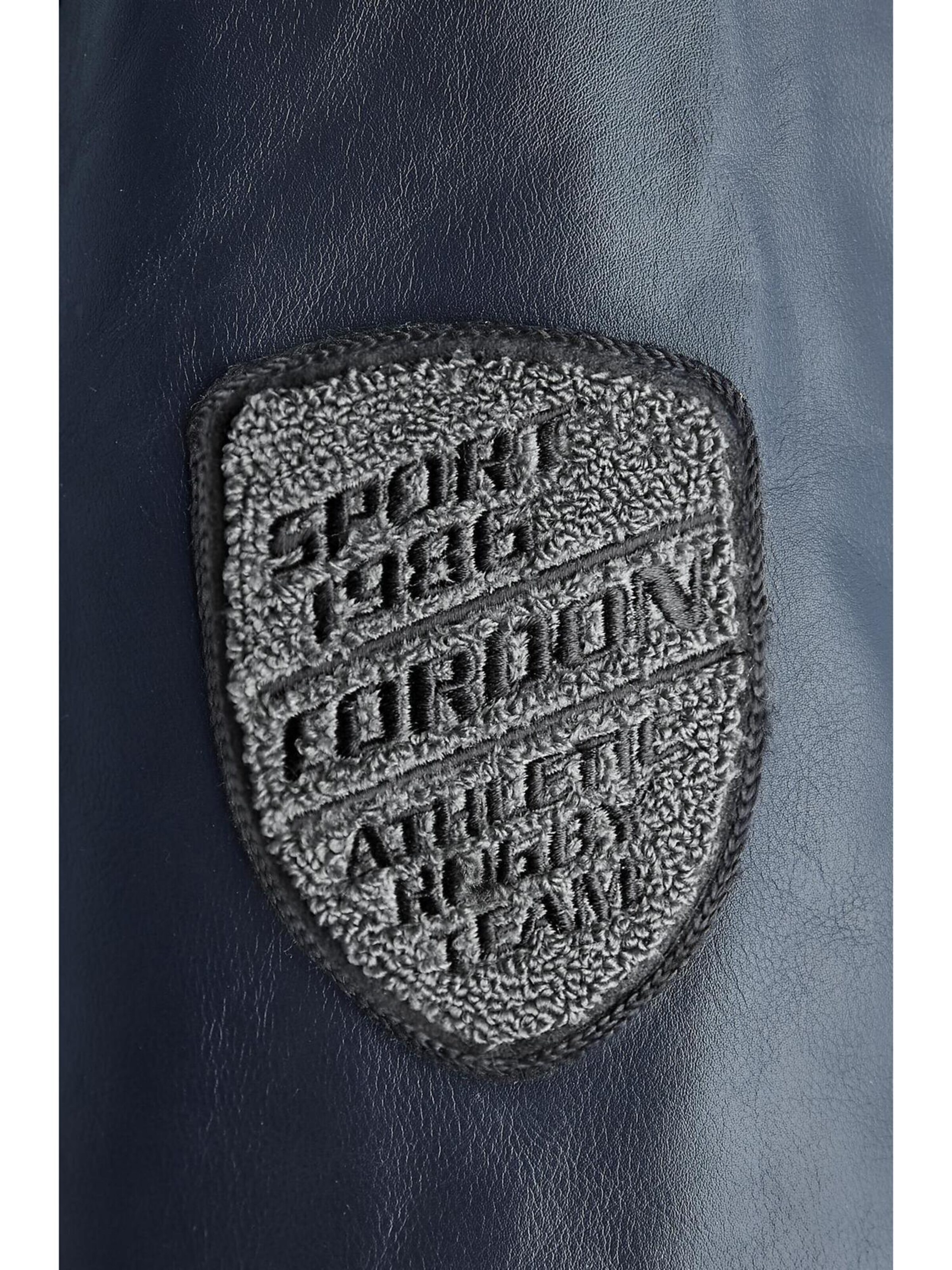 Cordon Sport Winter Jacket 'Team' in Blue