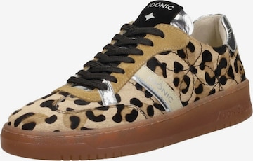Baskets basses 'Wish Legacy' Iqonic en marron : devant