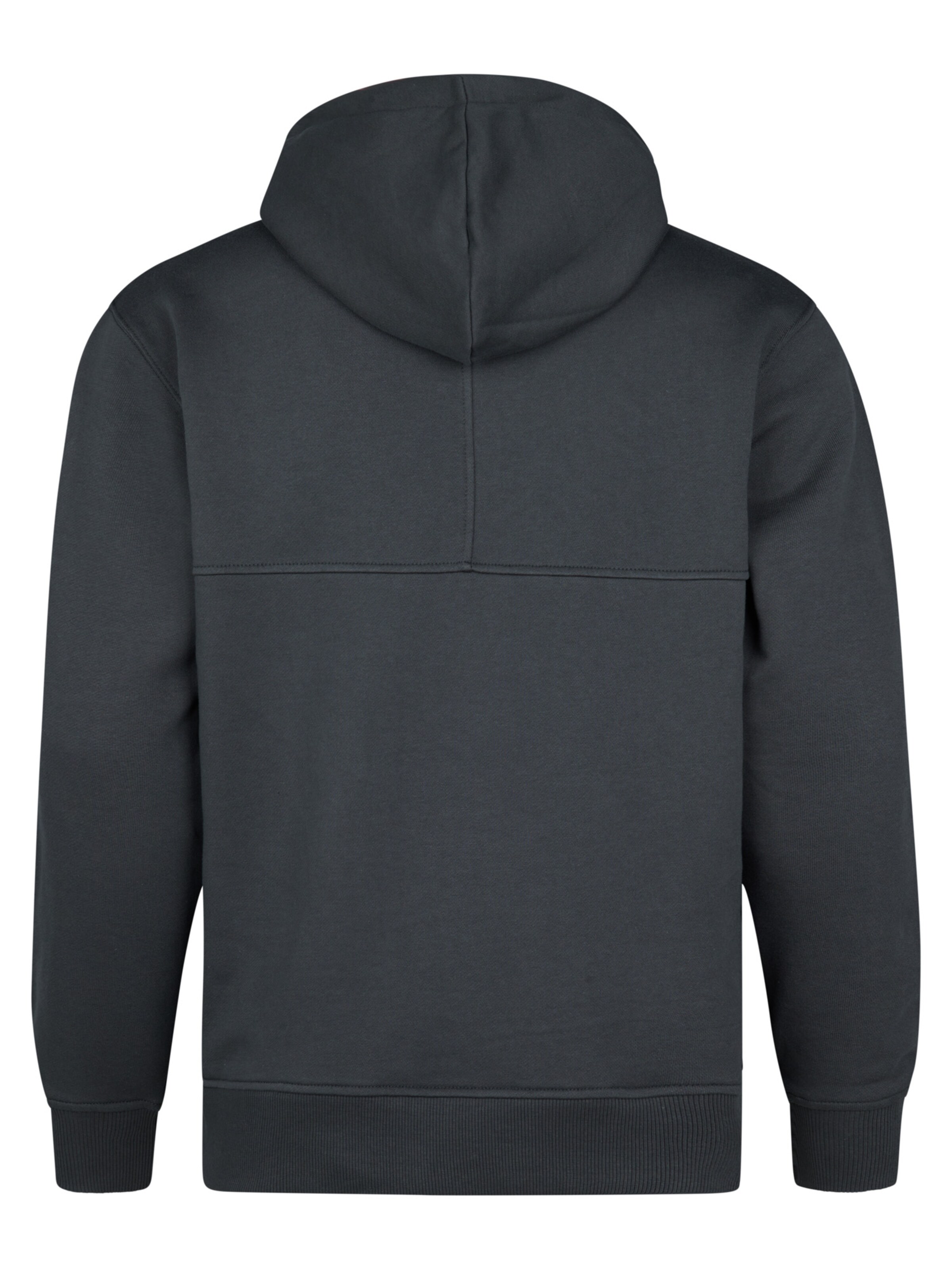 Petrol Industries Sweatshirt in Grau