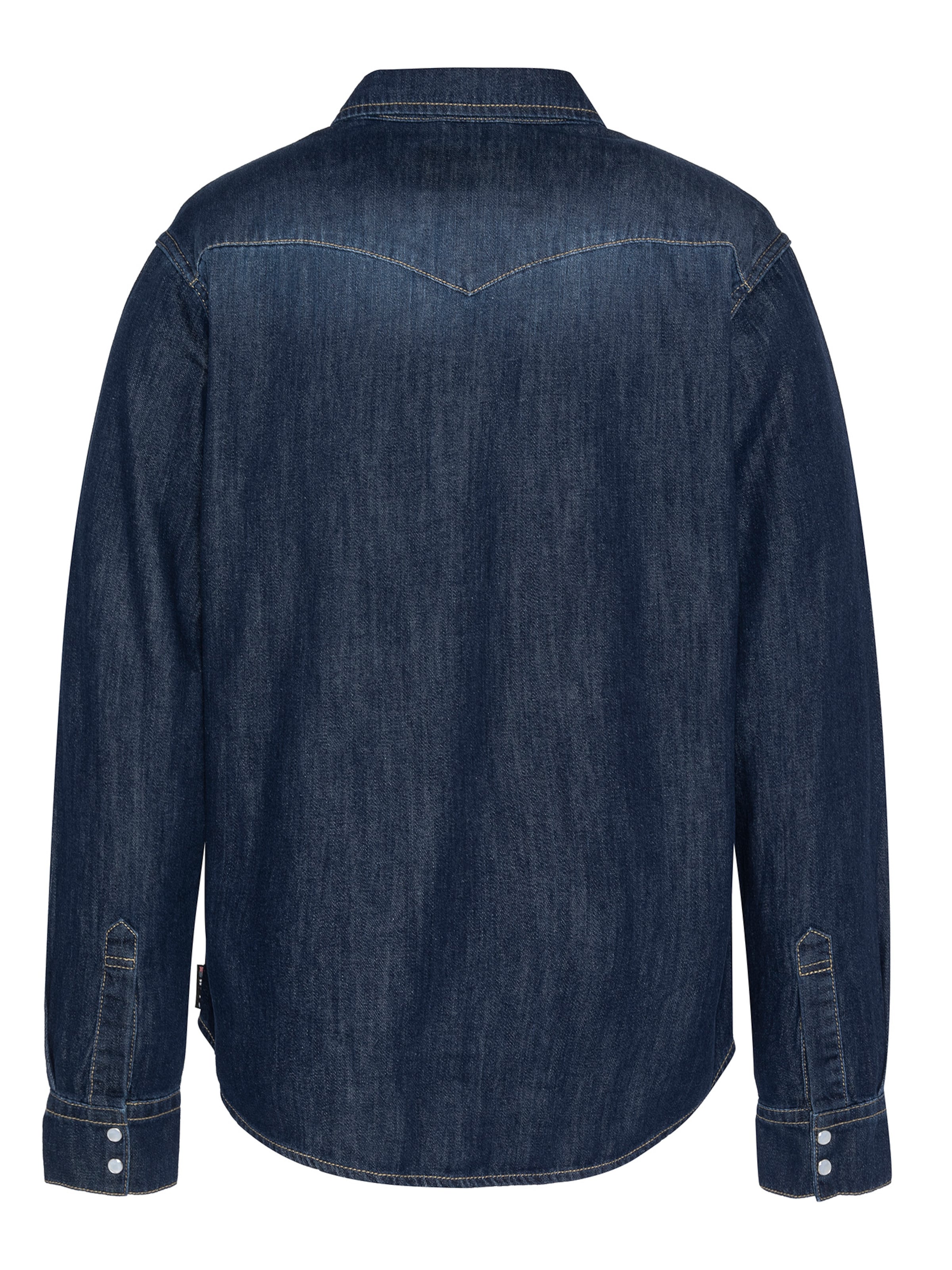 Schott NYC Shirt in Blue