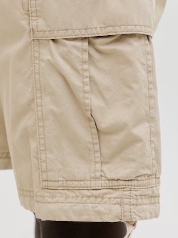 JACK & JONES Regular Cargo Pants 'JPSTCOLE FRANK' in Brown