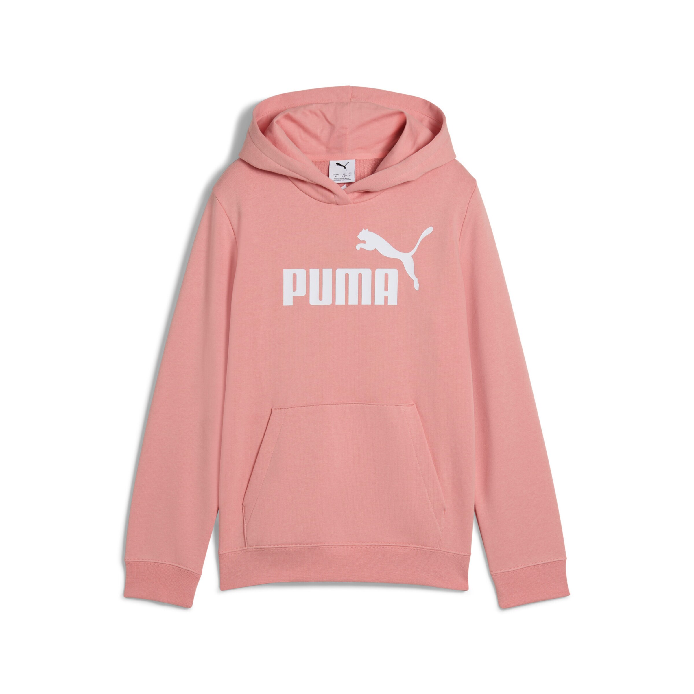 PUMA Sweatshirt 'Ess No. 1' in Pink: front