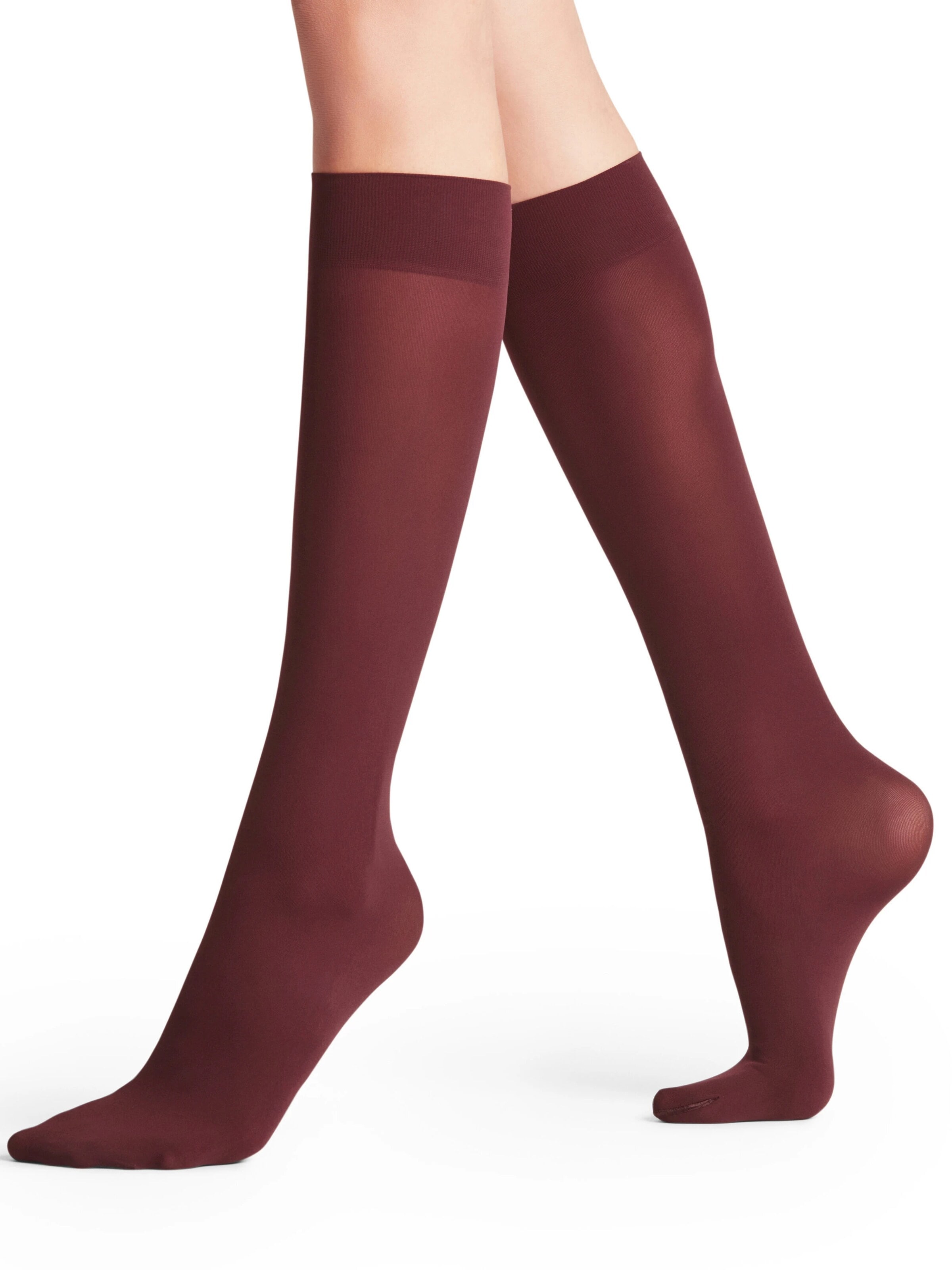 FALKE Over the Knee Socks 'Pure Matt' in Red: front