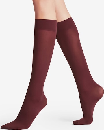 FALKE Over the Knee Socks 'Pure Matt' in Red: front