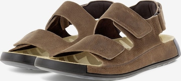 ECCO Sandals in Brown
