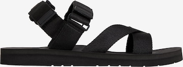Calvin Klein Sandal in Black: front