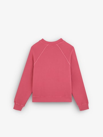 Sweat-shirt Scalpers en rose