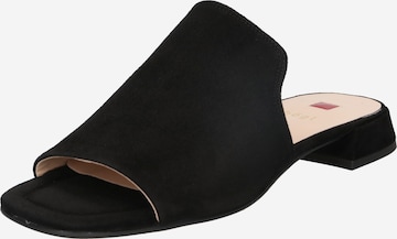 Högl Mules in Black: front