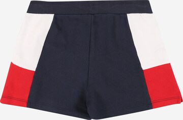 TOMMY HILFIGER Regular Shorts in Blau