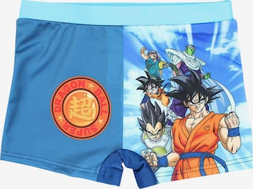 Dragon Ball Board Shorts 'Dragon Ball' in Blue: front