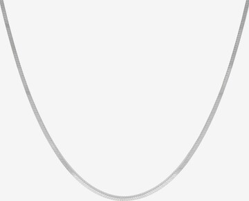 P D PAOLA Necklace in Silver: front