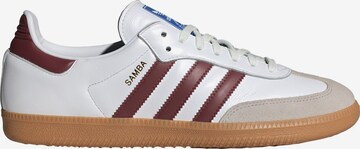 ADIDAS ORIGINALS Σνίκερ χαμηλό 'Samba' σε λευκό