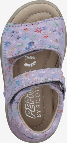 Pepino Sandals in Purple