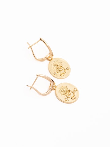 Secret Stones Earrings 'Gold snake' in Gold: front