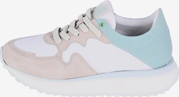 Apple of Eden Sneakers laag 'Lola' in Groen