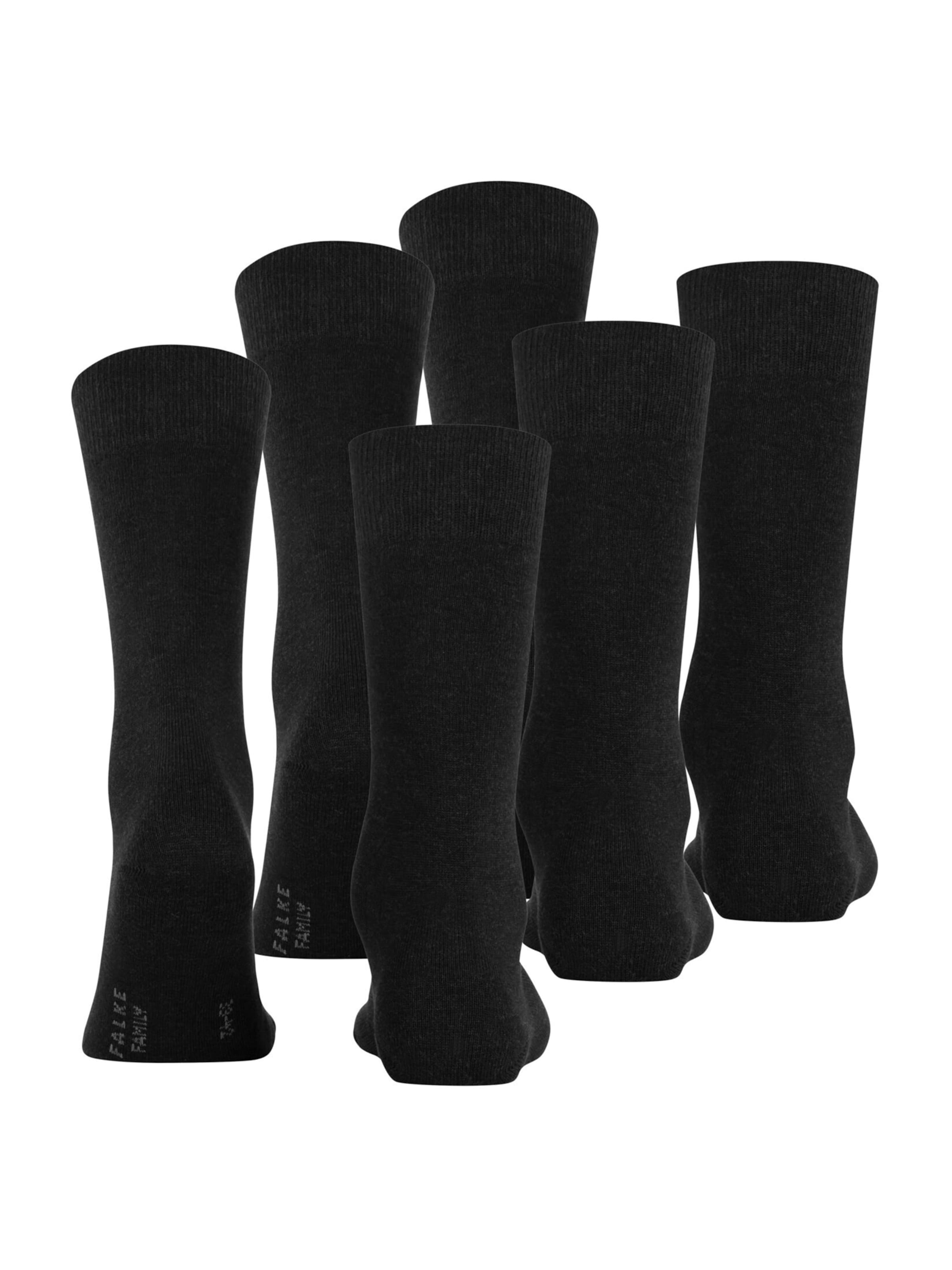 FALKE Socks 'Family' in Grey