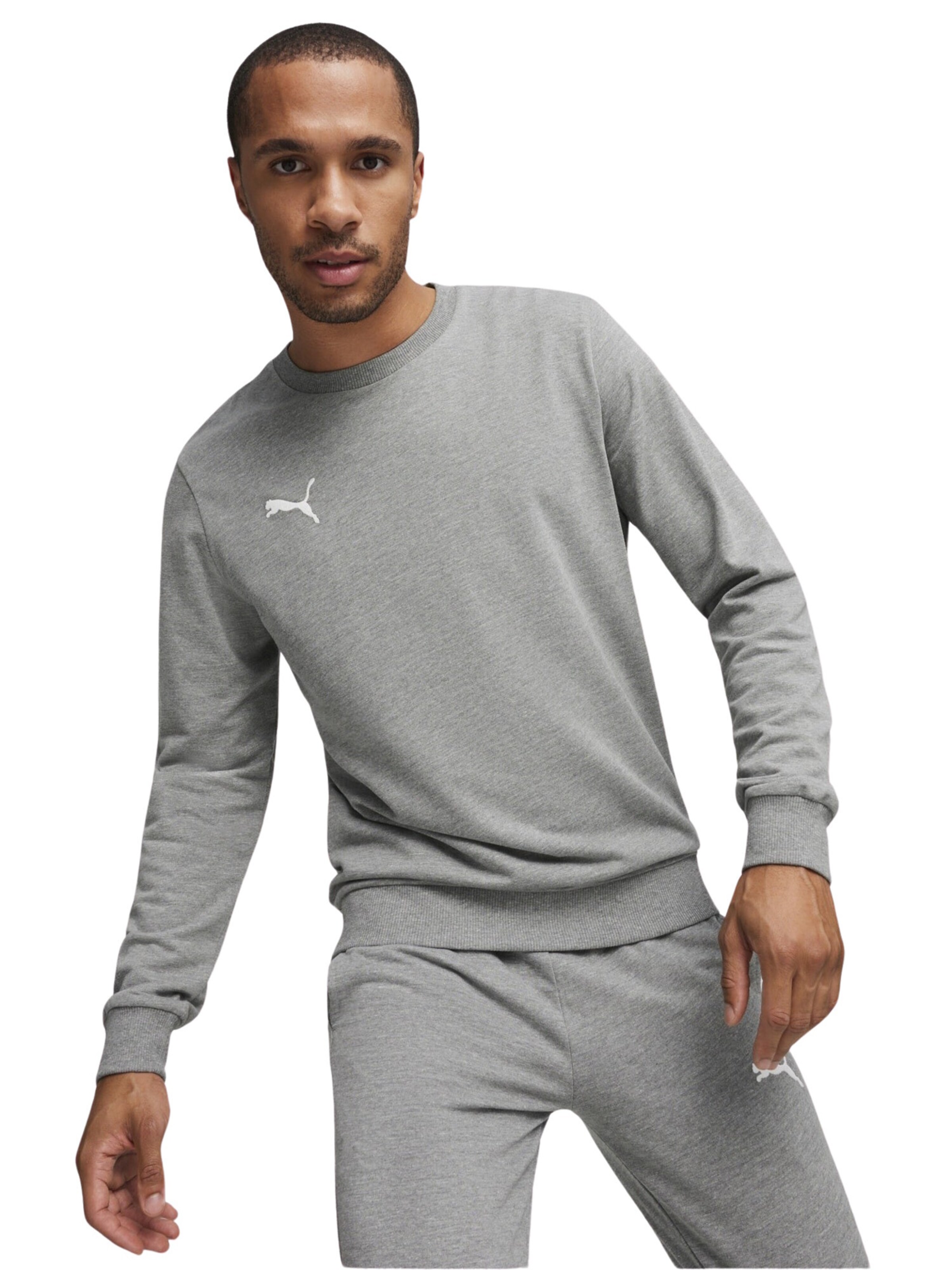 Felpa sportiva 'TeamGoal' di PUMA in grigio