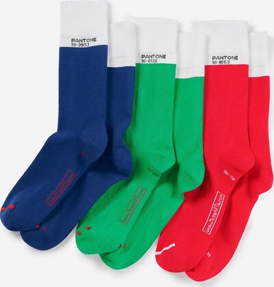 Pantone made by MuseARTa Chaussettes 'Colours' en bleu marine / vert / rouge vif / blanc, Vue avec produit