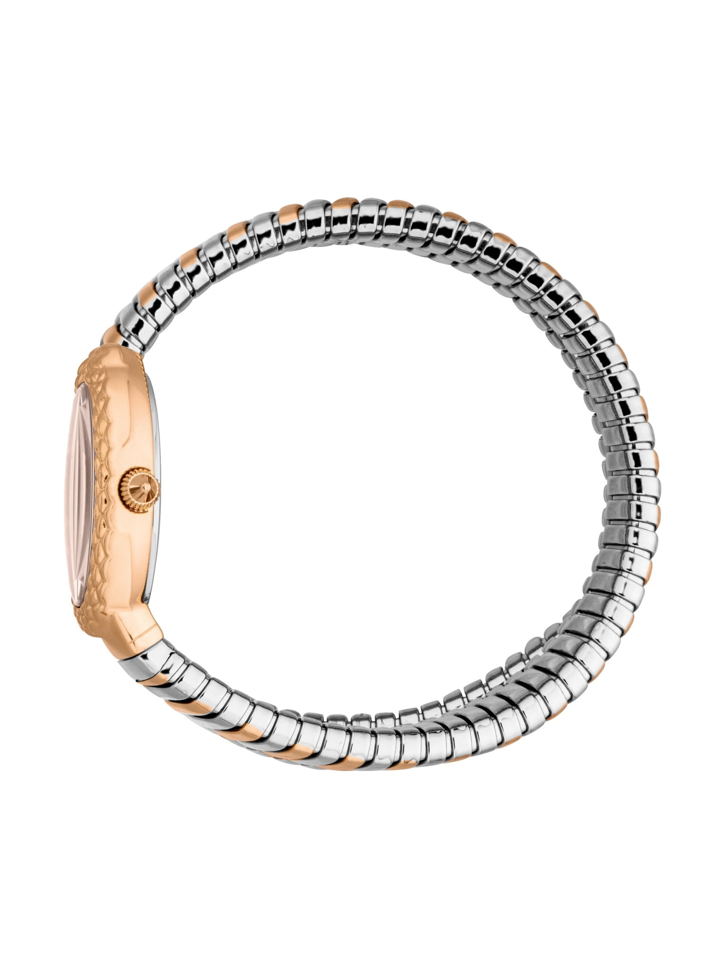 Just Cavalli Analog Watch 'Sognia' in Gold