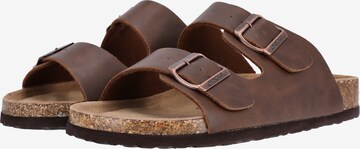 Cruz Mules in Brown