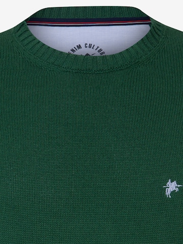 DENIM CULTURE Sweater 'Brian' in Green
